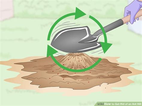 4 Easy Ways to Get Rid of an Ant Hill - wikiHow