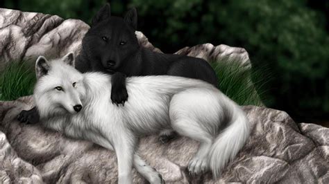 HD wallpaper: black, white, wolf, wolves | Wallpaper Flare