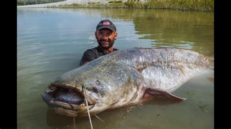 CATFISH RECORD 265 LBS CAUGHT ON CAMERA - HD by CATFISH WORLD - YouTube