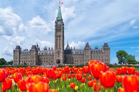 Tulip Festival Canada 2024 - Lanie Beatrix