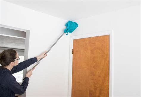 How to Steam Clean Walls and Ceilings? - Steam Guider