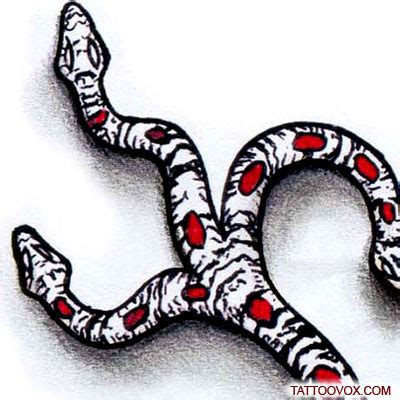 Three Headed Snake tattoo design - TattooVox Professional Tattoo ...