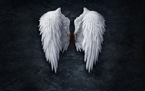 Angel Wings Wallpapers - Top Free Angel Wings Backgrounds - WallpaperAccess