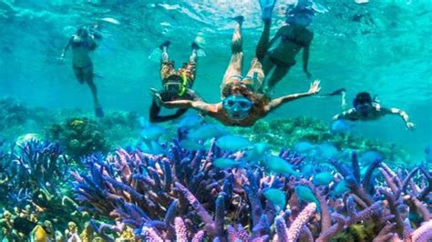 Blue Lagoon Snorkeling | Bali Family Safe Tours