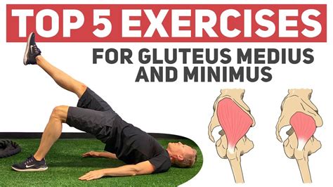 Gluteus Maximus Exercises For Women