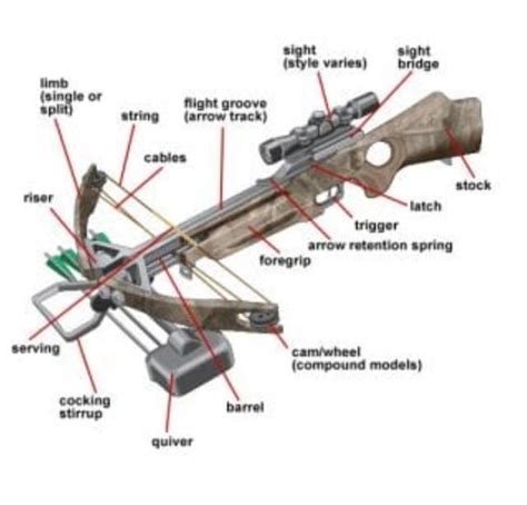 How To Shoot a Crossbow - Crossbow Ninja