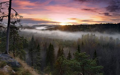 Foggy Sunrise National Park, HD Nature, 4k Wallpapers, Images, Backgrounds, Photos and Pictures