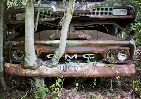 World's largest classic car junkyard takes root in U.S. forest ...