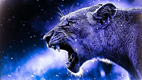 Colorful Lion, Space Lion HD wallpaper | Pxfuel