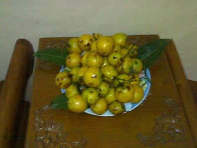 ALL ABOUT ME: buah setar,buah staq,buah kundang dan yang sealiran dengan namanya.