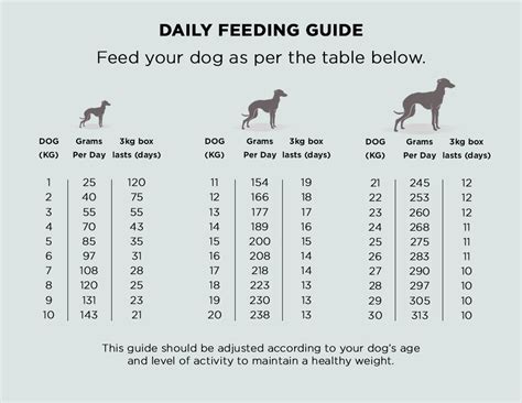 Dry Raw Food Feeding Guide | The Innocent Hound – The Innocent Pet