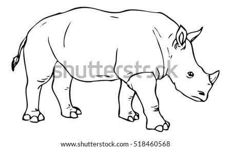 Realistic Rhino Drawing Vector Stock Vector 518460568 - Shutterstock