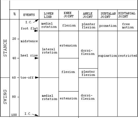 Kinematics of human gait