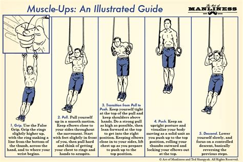 strict muscle up - Utility Shape