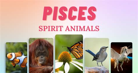 7 Pisces Spirit Animals that Embody this Zodiac Sign | So Syncd