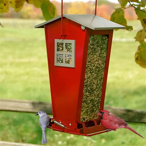 Green Squirrel-Proof Bird Feeder | Breck's