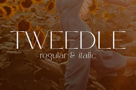 Tweedle - Display Typeface - Design Cuts