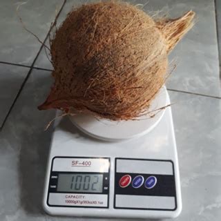 Jual KELAPA TUA KUPAS UTUH 1 BIJI - + 1 KG | Shopee Indonesia