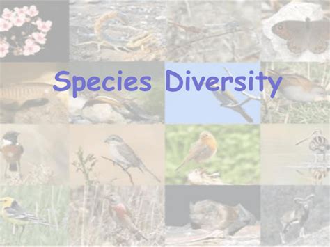 Species Diversity