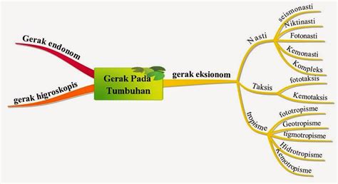 GERAK PADA TUMBUHAN - Hauma Genst