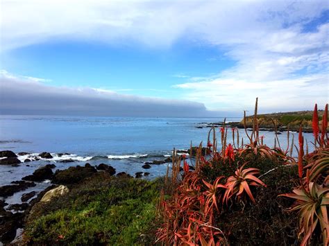 Cambria Map - San Luis Obispo County, California - Mapcarta