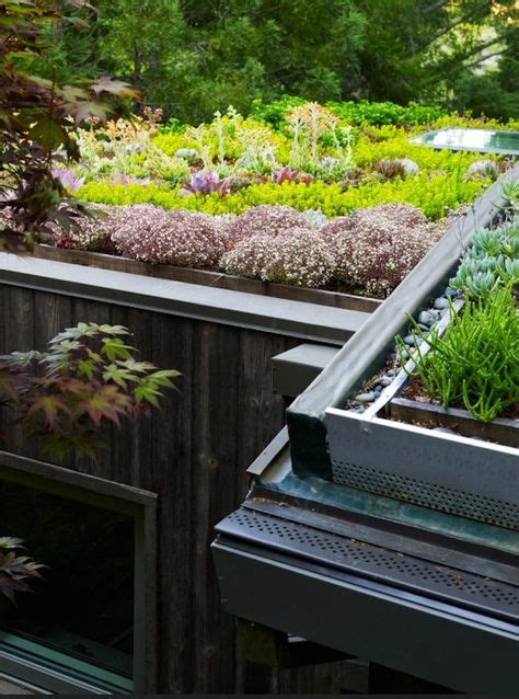 11 Best flat roof planting ideas | green roof, roof garden, roof