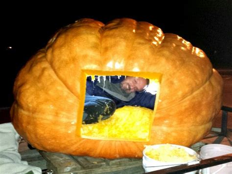 Harvesting Giant Pumpkin seeds. | Giant pumpkin, Giant pumpkin seeds, Pumpkin