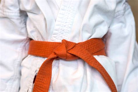 Karate Belt Order | Karate Belts Ranking | Karate Belts Order Types & Rank