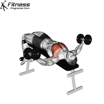 How To: Decline Dumbbell Fly | Muscles Worked And Benefits