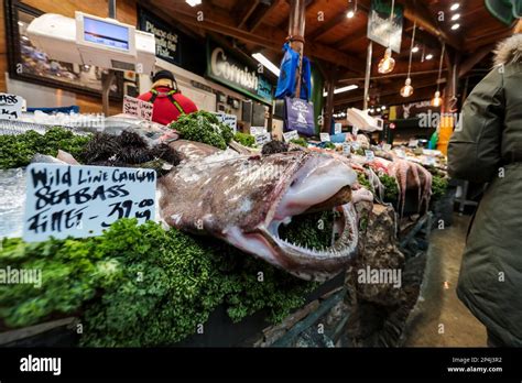 Cornish Day Boat sea and shell fish, Borough Market, London Stock Photo - Alamy