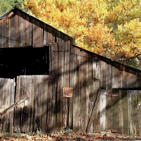 Old Barn In Autumn Photograph by Art Block Collections