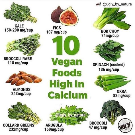 food high in calcium - Wendy Welch