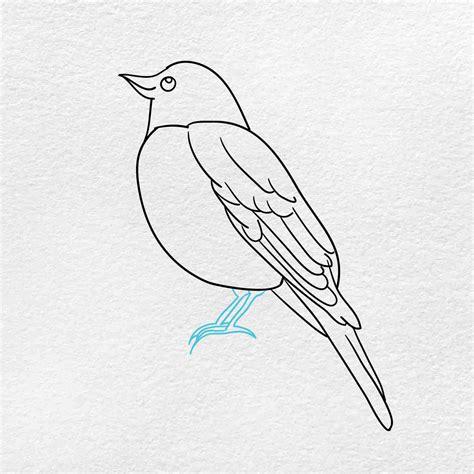 How to Draw a Robin - HelloArtsy