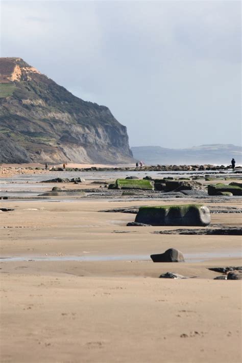 Charmouth Beach Fossil Hunting - The Life Of Spicers