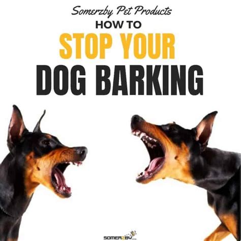 How to Stop Your Barking Dog Successfully - The Updated (2018) Guide