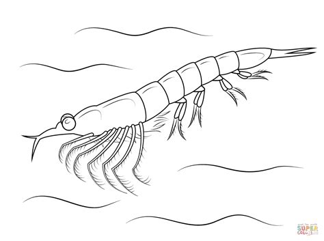 Free Krill Cliparts, Download Free Krill Cliparts png images, Free ...