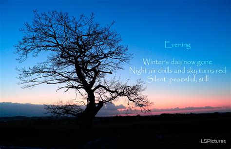 "Winter Evening Haiku - a stark tree against a cold winter sky with a ...