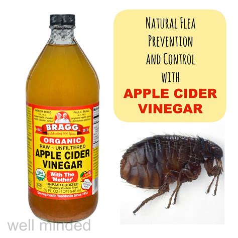 Natural Flea Prevention and Control with Apple Cider Vinegar. ACV image source: bragg.com. Flea ...