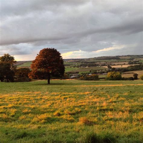 Harewood House, near Leeds, England : r/pics