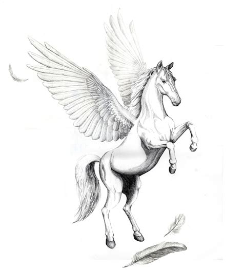 Pegasus Imagery Collections | Pegasus tattoo, Pegasus drawing, Horse ...