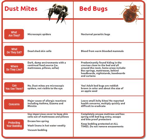 Dust Mite Bites Vs Bed Bug Bites | Hot Sex Picture