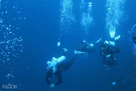 Batangas World-Renowned Dive Spots Reopens to Tourists with Safety ...