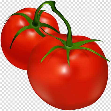 Tomato Drawing Kamatis - Vegetable Tomato In Clip Art Transparent - Clip Art Library