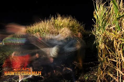 Looking for a Scary Corn Maze? 13 Best Haunted Corn Mazes in the USA