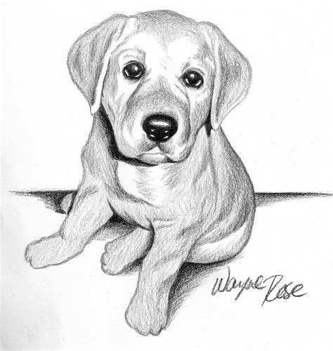 Cute Dog Drawing Simple : Cute Dog Drawing Step By Step | Bodewasude