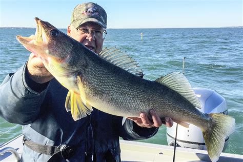 Lake Erie 4-1-1 | Lake Erie Walleye Fishing Tips | MidWest Outdoors