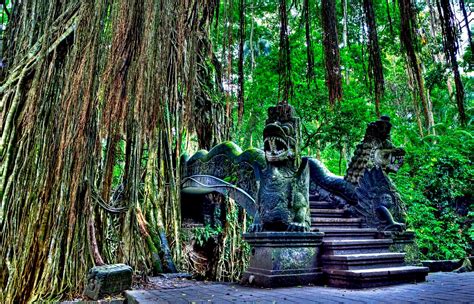 Ubud Monkey Forest, Nature Reserves To 340 Monkeys - Traveldigg.com