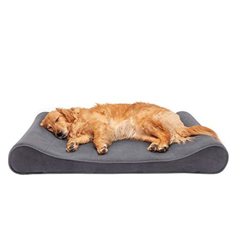 The 25 Best Memory Foam Dog Beds of 2020 - Pet Life Today