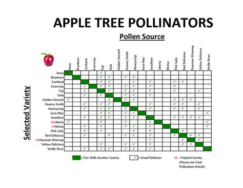 Pollination Chart Apple Tree, Fruit Bearing Trees,, 44% OFF