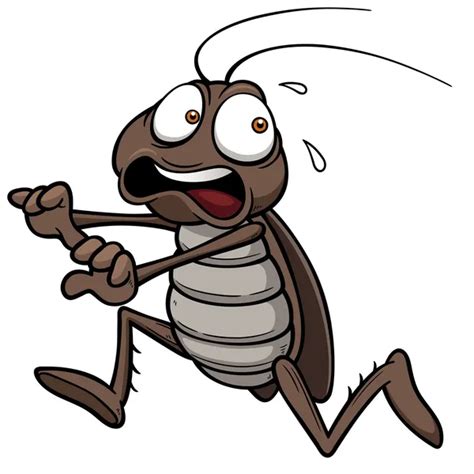 Cockroach cartoon Vector Art Stock Images | Depositphotos